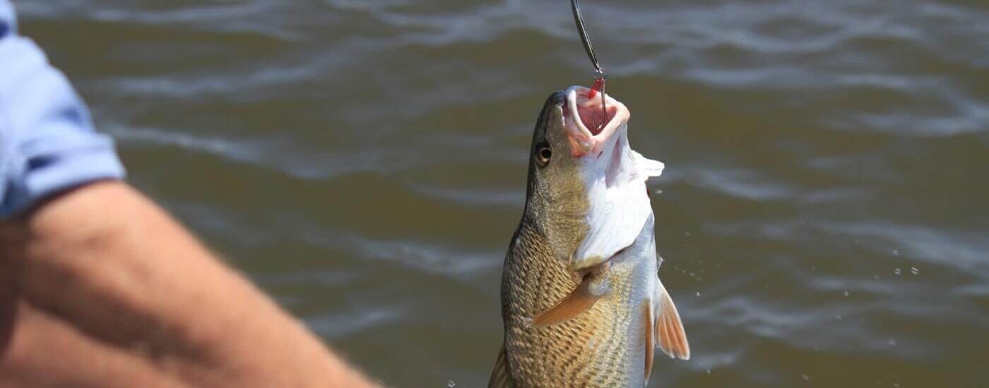 Angling: Recreational Cruelty