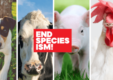 Pledge to #EndSpeciesism