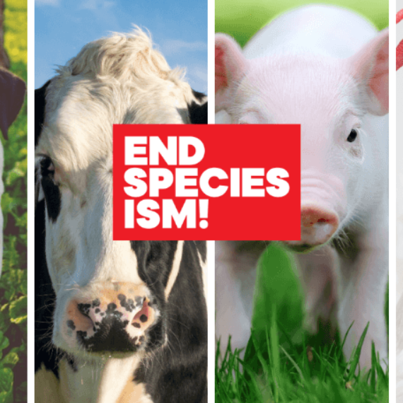 Pledge to #EndSpeciesism