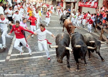 BREAKING: Brit Injured in Annual Running of the Bulls, Bulls Barbarically Killed