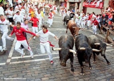 Cruelty at Every Turn: Man Dies at Bull-Running Event in Onda, Spain