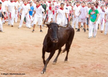 Running of the Bulls Cancelled Again; Bulls Spared a Bloody Death