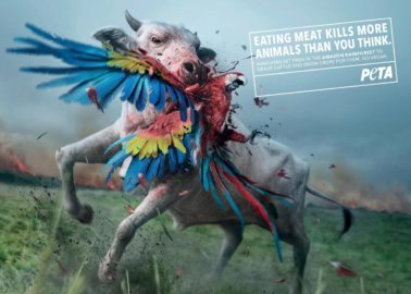 PETA’s New Ad Blames Meat-Eaters for Amazon Fires