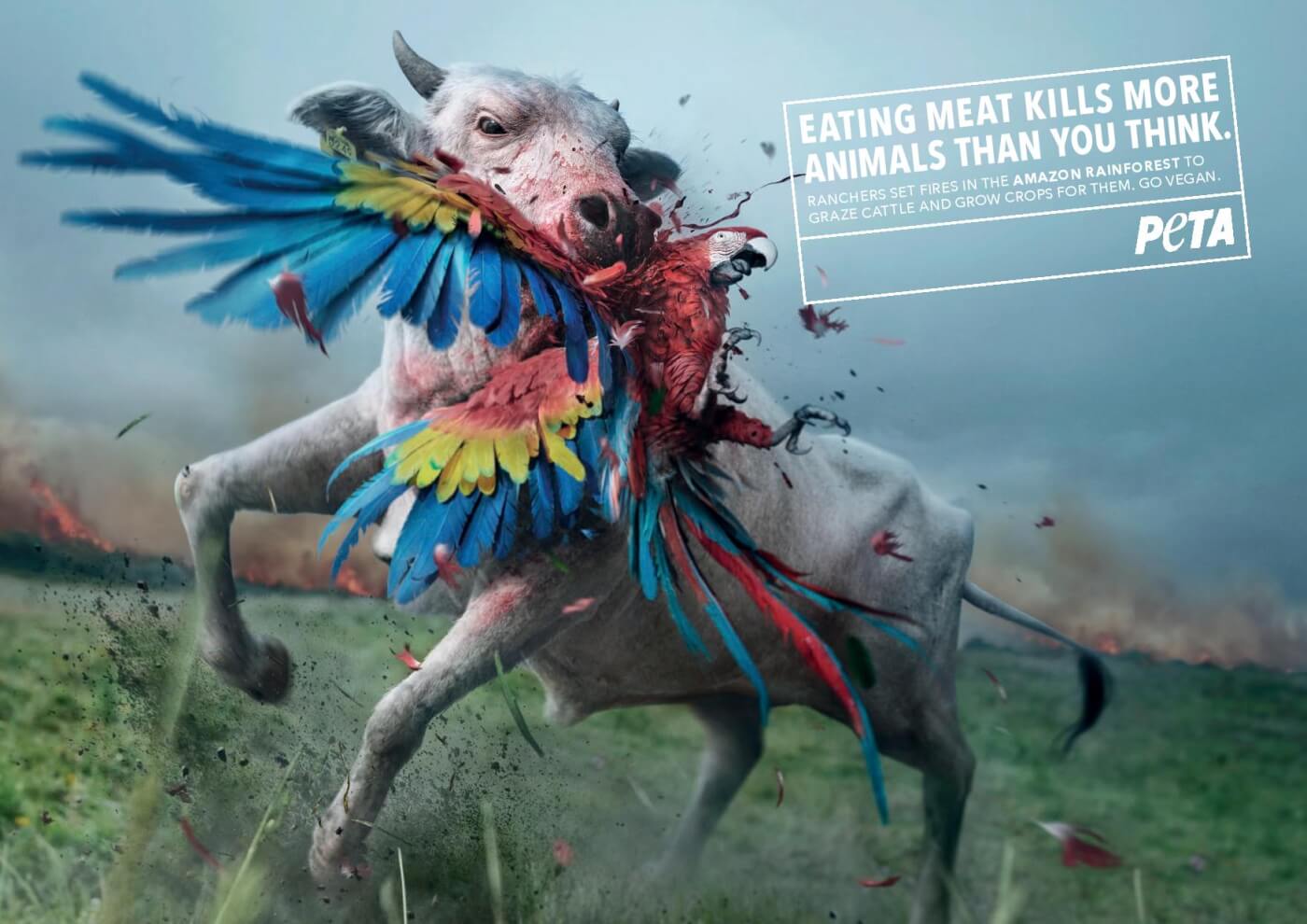 PETA's New Ad Blames Meat-Eaters for Amazon Fires PETA's New Ad Blames Meat-Eaters for Amazon Fires