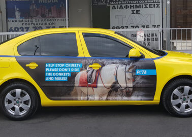 Over 100 Ads in Greece Are Now Calling On Tourists to Avoid Cruel Donkey Rides