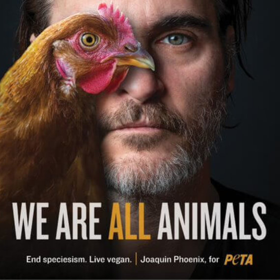 No Joke: Joaquin Phoenix Is a Hero to Animals