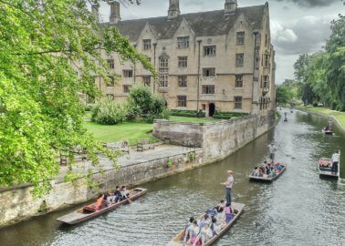 The Most Vegan-Friendly Universities in the UK