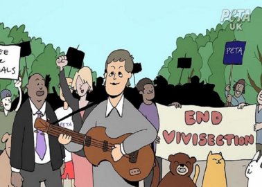 Paul McCartney’s New Music Video Calls For End to Tests on Animals