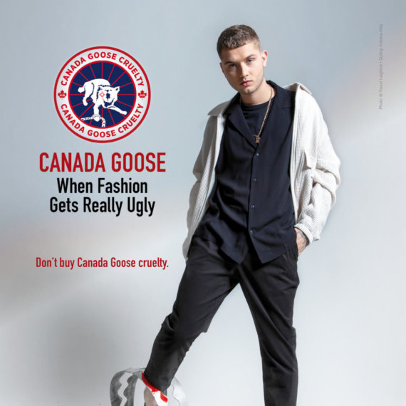 Rafferty Law Follows Parents’ Lead With New Anti-Fur Campaign for PETA