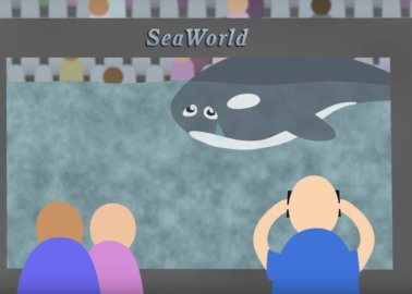 WATCH NOW: Orcas ‘Float Free’ in New Video to Lene Lovich’s ‘Wonderland’