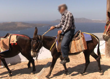 Suffering of Donkeys and Mules on Santorini Continues – Help Them Now!