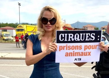 Paris to Say Au Revoir to Wild-Animal Circuses