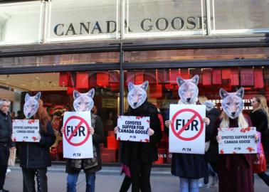 Don’t Be Fooled by Canada Goose’s New Fur Policy