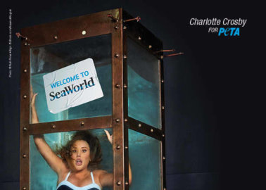 Charlotte Crosby Trapped Underwater in PETA Anti-SeaWorld Ad