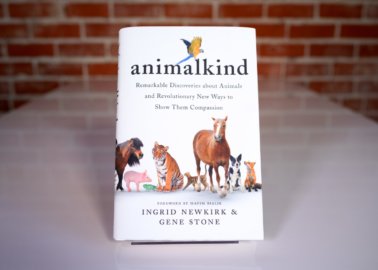 Read Ingrid Newkirk’s New Book, ‘animalkind’