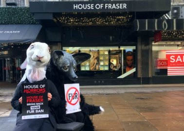 Brits Think Selling Fur Is Unethical, Outdated, and Cruel – so Why Is House of Fraser Still Doing It?