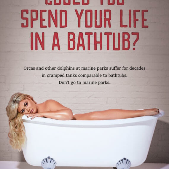 Gemma Collins Self-Isolates in Bathtub in New Campaign Protesting Marine Parks