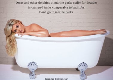Gemma Collins Self-Isolates in Bathtub in New Campaign Protesting Marine Parks