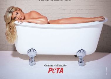 Gemma Collins Self-Isolates in Bathtub in New Campaign Protesting Marine Parks