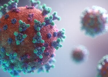 Coronavirus Vaccine: Why Human Trials, Not Animal Tests, Are the Way Forward
