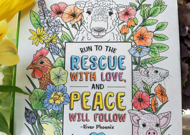 Self-Isolation Activity: Get Crafty and Fight Speciesism With These PETA Colouring Pages