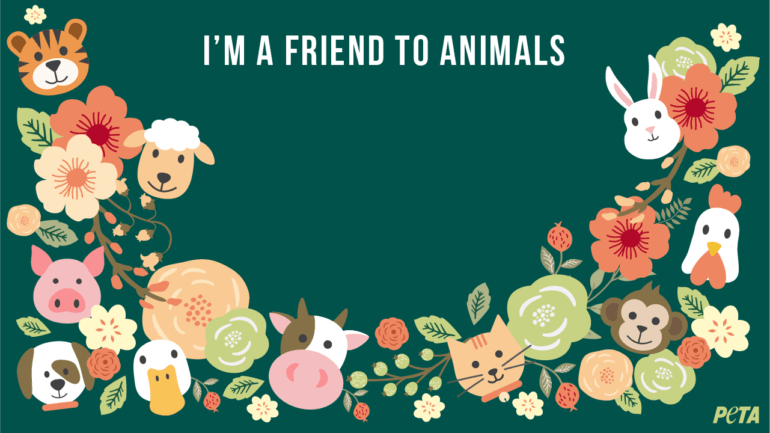 Speak Up for Animals During Zoom Calls Speak Up for Animals During Zoom Calls