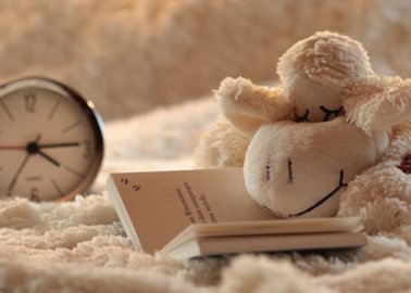 7 Animal-Friendly Activities for Children to Do at Home!