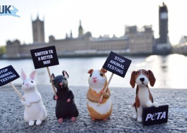World Day for Animals in Labs: Small Protesters Hit Parliament With Big Problem