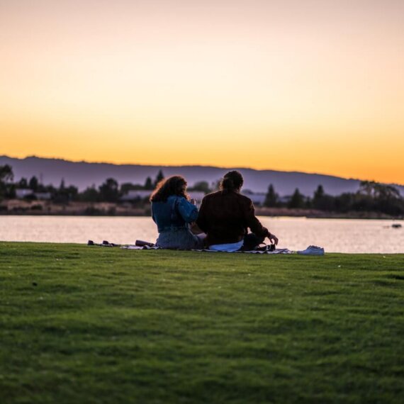 Ultimate Guide to Having a Vegan Picnic