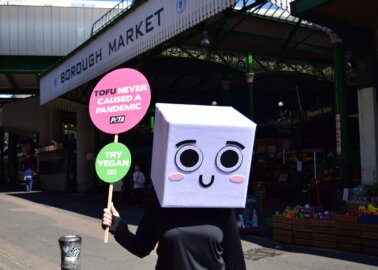 Why Did This Block of Tofu Dance Outside London’s Borough Market?