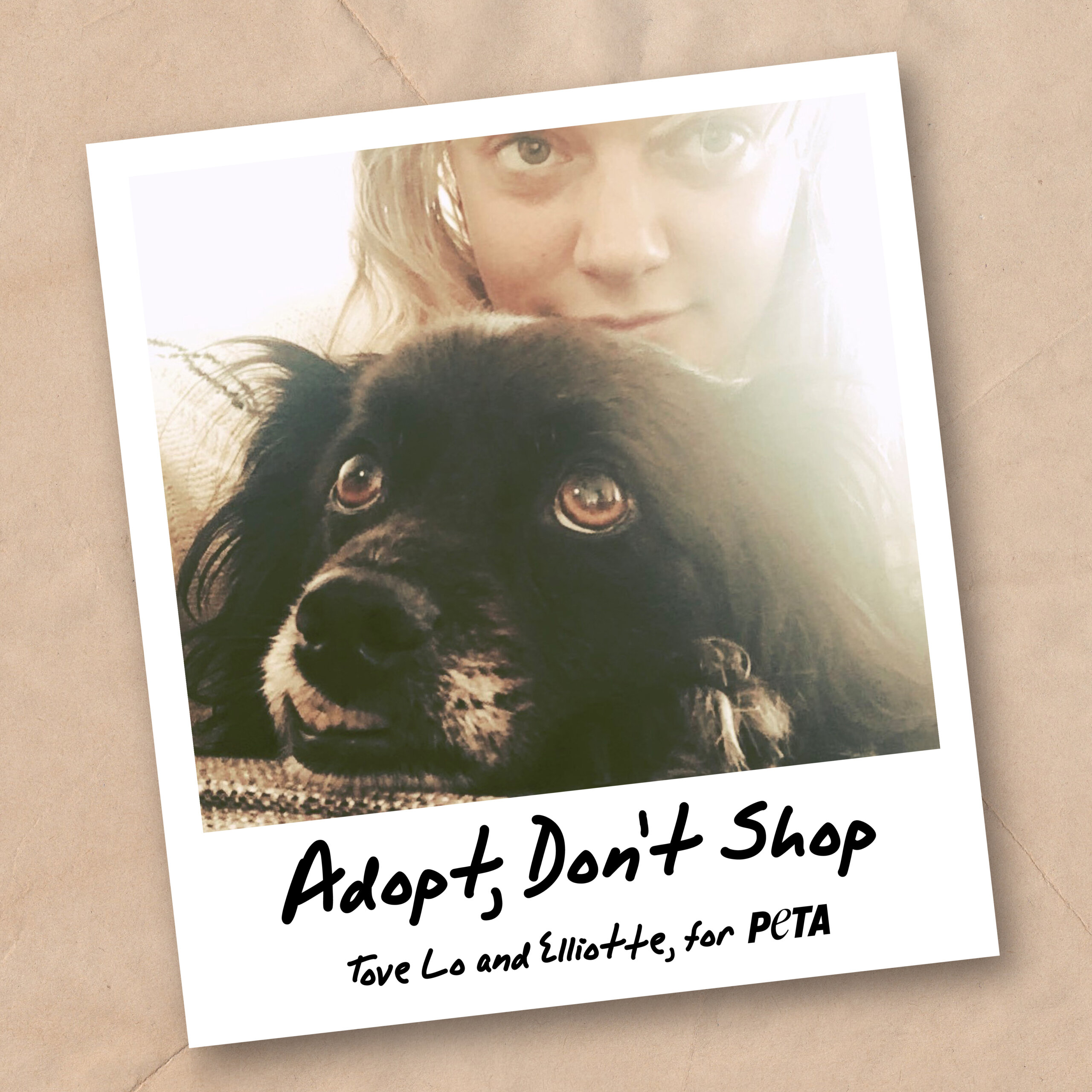 Tove Lo and Her Dog Star in ‘Adopt, Don’t Shop’ Campaign