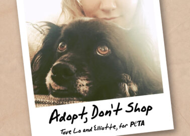 Tove Lo and Her Dog Star in ‘Adopt, Don’t Shop’ Campaign