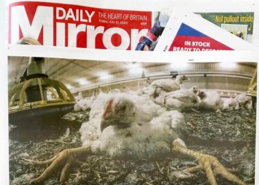 Should We Be Worried About Eating Chlorinated Chicken?
