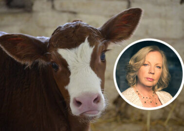 Dairy Farmers: Enter for a Chance to Win a Deborah Meaden Business Consultation