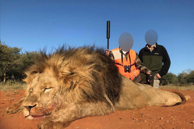 Image shows hunter posing with lion