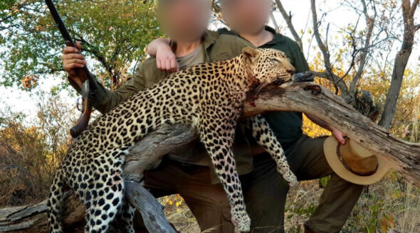 Image shows hunters posing with dead animal