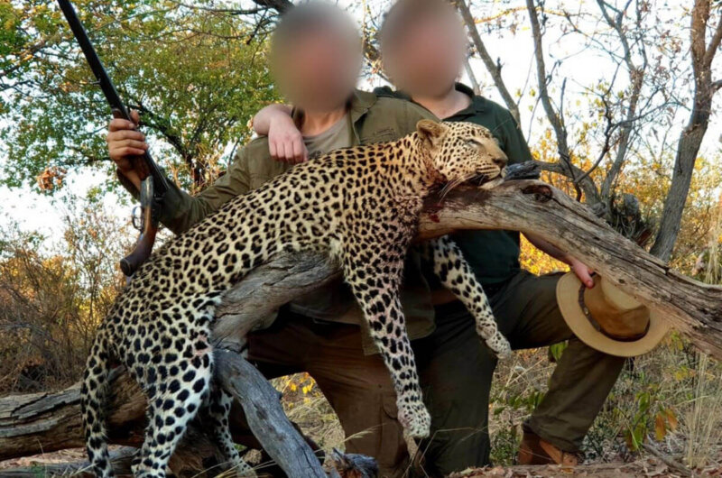 Image shows hunters posing with dead animal