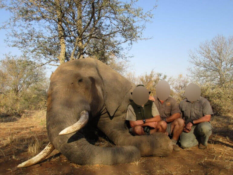 Image shows hunters posing with dead elephant