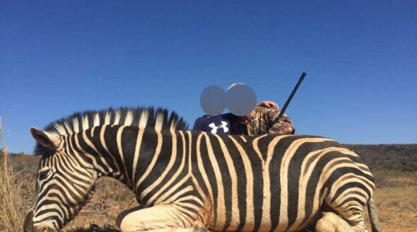 Image shows hunters with zebra