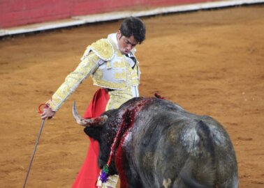 PETA Friend Peter Tatchell Urges Newly Out Matador to Turn Back on Bullfighting