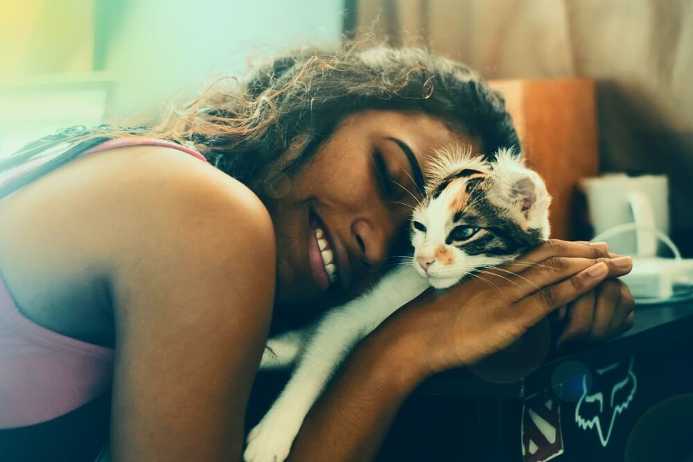 How to Keep Cats Cool This Summer