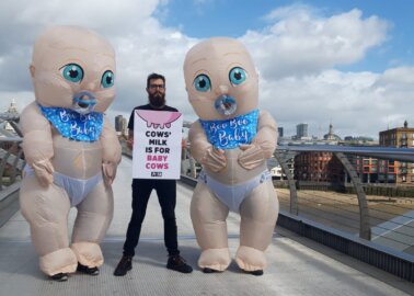 Giant ‘Babies’ Descend on Millennium Bridge, Speak Up for Calves