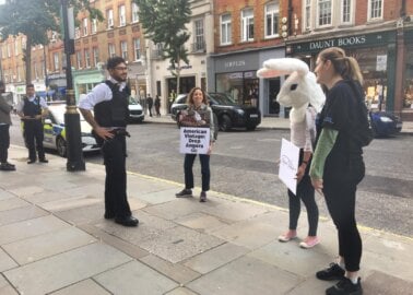 Day of Action: Protests Call On American Vintage to Drop Angora