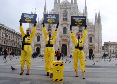 PETA Supporters Call For Fur Ban at Milan Fashion Week