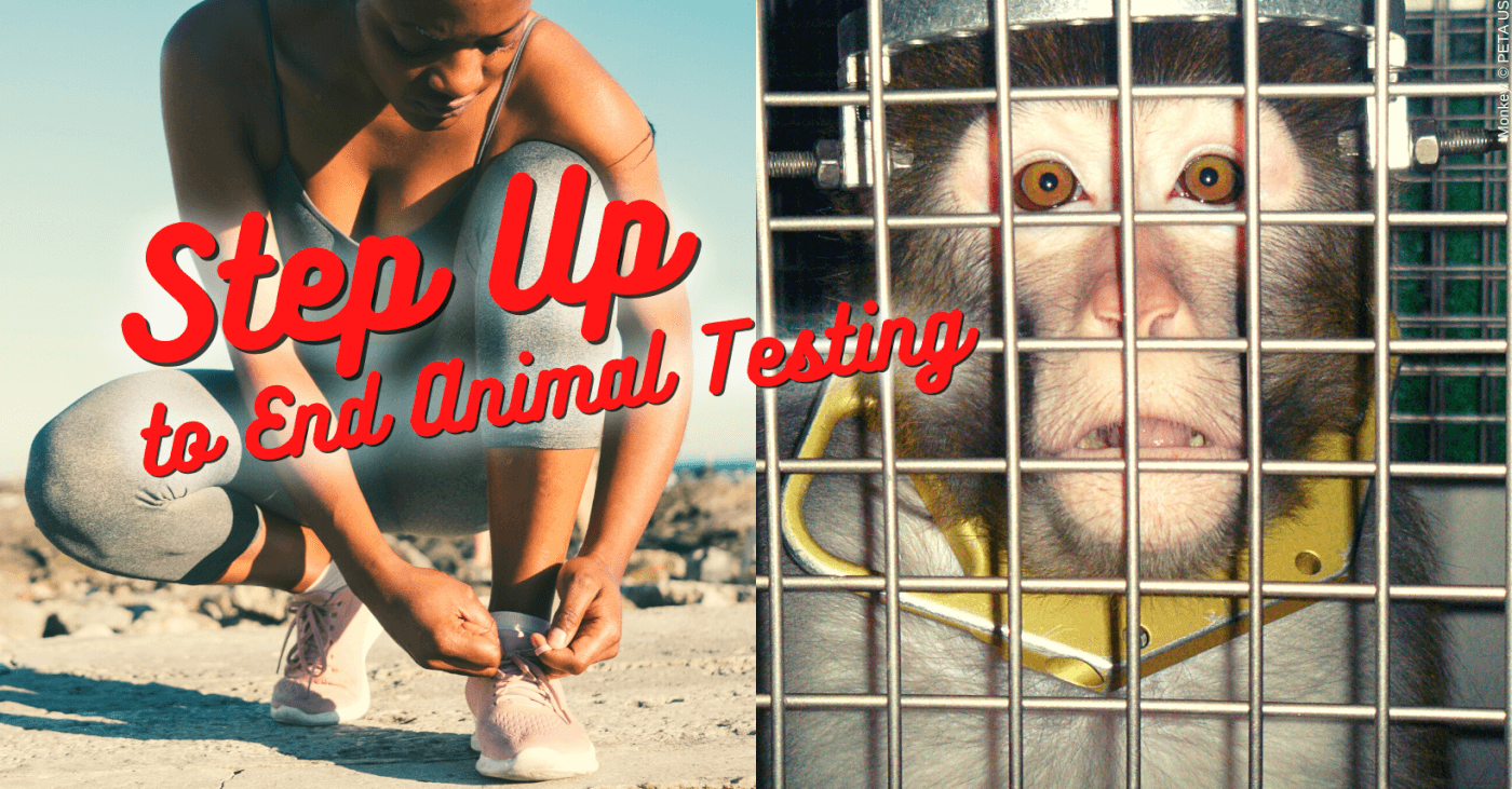 Step Up to End Animal Testing: Fundraising Resources - PETA UK