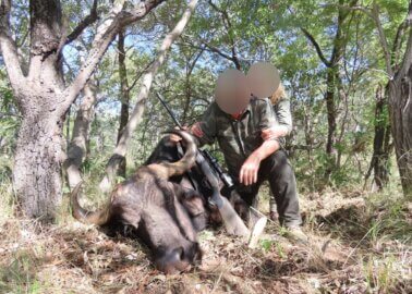 Shocking Video: Young Elephant Gunned Down by American Tourist for ‘Trophy’