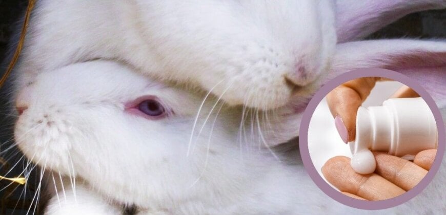animal testing rabbit cream3 870x420 1 Court of Justice of the European Union’s Ruling Destroys Ban on Animal Testing for Cosmetics