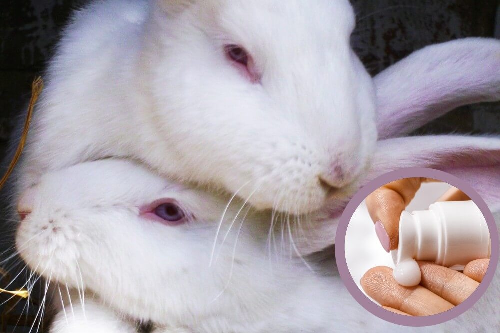 5,500 Rats, Rabbits, and Fish Sentenced to Death for Sunscreen