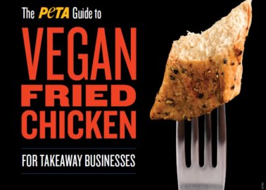 Download PETA’s Free ‘Guide to Vegan Fried Chicken for Takeaway Businesses’