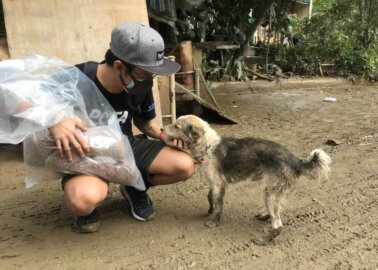 PETA Asia Rescues Animals Affected by Typhoon Vamco
